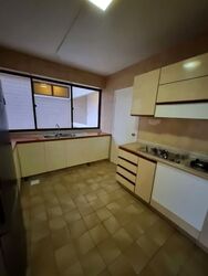 The Cairnhill (D9), Condominium #613855091